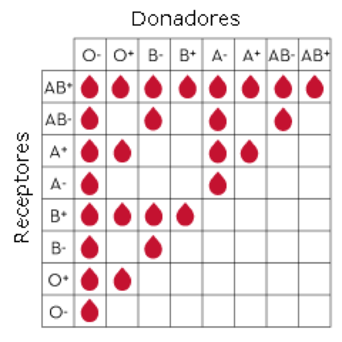 Donación de sangre. – México Sonríe